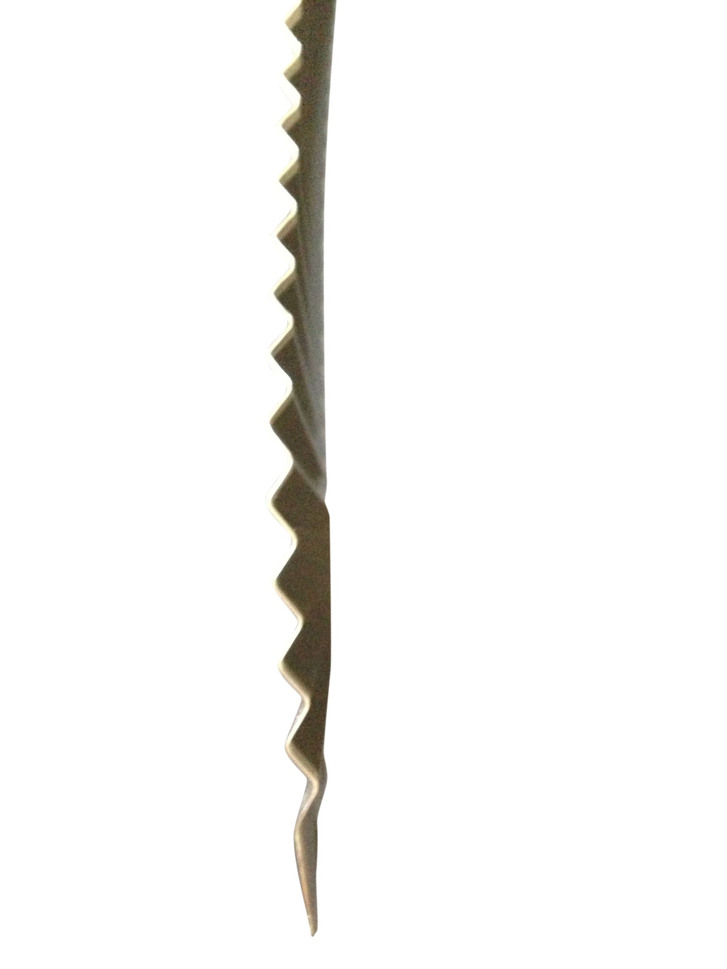 Side View of Ribs